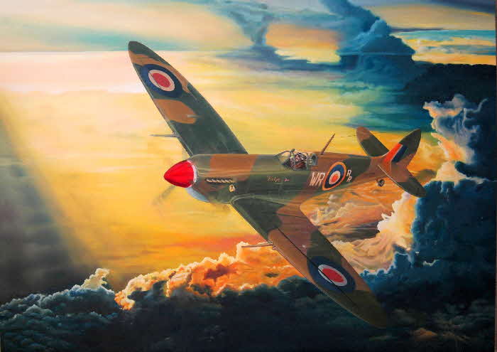 spitfire evelyn by tonkinson