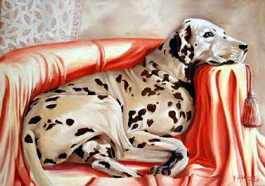 Dalmatian by tonkinson