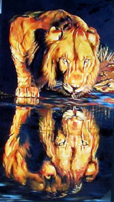 Reflections