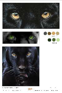 Tonkinson TUT Wild life tiger-panther eyes-002