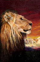 a-Lion's-Pride-40x60cm-web