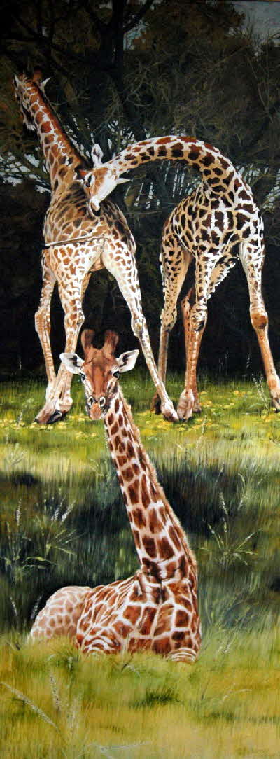3 baby giraffe tonkinson-art-001