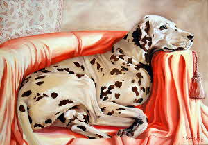 Card Dalmation-1