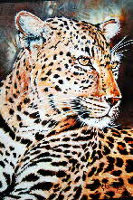 female leopard