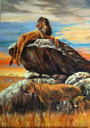 Lion`s Pride Lion`s Pride