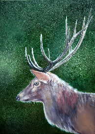 Eidelhert reddeer by tonkinson-art