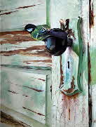 Koolmees 40x30cm Koolmees 40x30cm