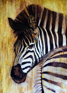 Out of africa -Equidae Out of africa -Equidae