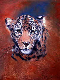 Portrait of a female leopard by tonkinson-art