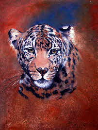 Portrait of a female leopard by tonkinson-art Portrait of a female leopard by tonkinson-art