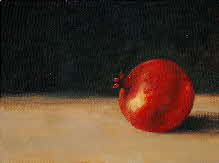 Solo pomegranate by tonkinson-art