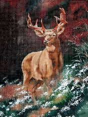 eidelhert red deer by tonkinson-art eidelhert red deer by tonkinson-art