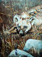 hyena at dawn by tonkinson-art web