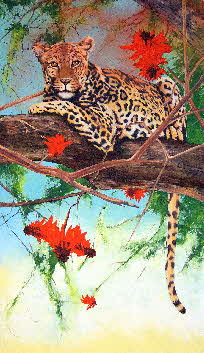 leopard in a coral tree by tonkinson-art