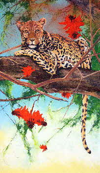 leopard in a coral tree by tonkinson-art leopard in a coral tree by tonkinson-art