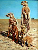 meercat family-001sml