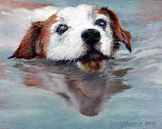 portrait of rataplan by tonkinson-art portrait of rataplan by tonkinson-art