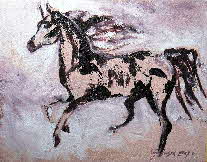 wild horse 119 by tonkinson-art