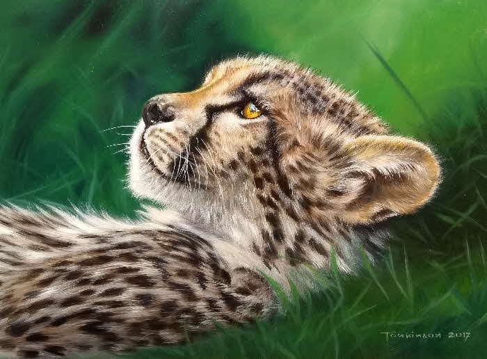 baby cheetah oil painting