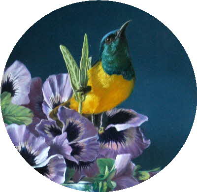 TAM oil painting workshops bird