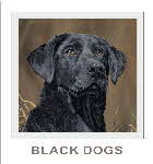 demo lesson - black dogs