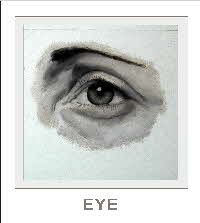 demo lesson - eye