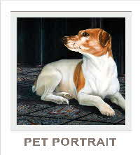 pet protraits - olieverf technieken