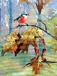 red breast-002