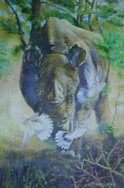 storming rhino