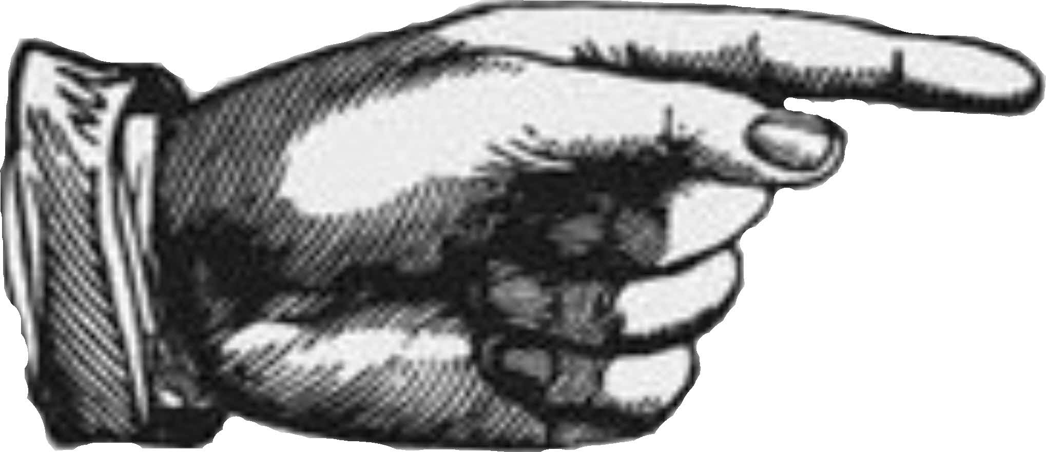 webbies hand