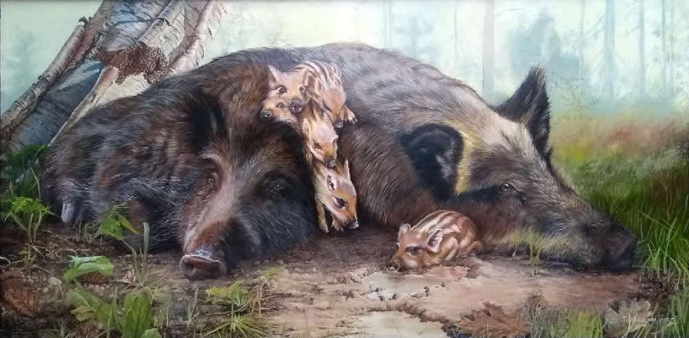 Wild life - Wild boar family